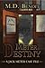 Meter Destiny