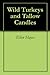 Wild Turkeys and Tallow Candles by Ellen Hayes