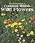 The Wayland Book of Common British Wild Flowers