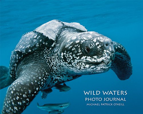 Wild Waters Photo Journal (Hardcover)