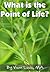 What is the Point of Life?