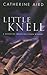 Little Knell (A Detective Inspector Sloan Mystery)