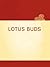 Lotus Buds