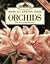Orchids (Burpee American Ga...
