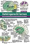 Gehirngerecht Lerneneine Lernanleitung Auf Neuropsychologischer Grundlage