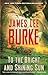 To The Bright And Shining Sun by James Lee Burke