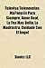 Televisa Telenovelas (Book Guide): Mi Pecado, La Madrastra, Amor Real, La Fea Mas Bella, Triunfo del Amor, Cuidado Con El Angel