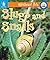 Slugs and Snails (Minibeast Pets)