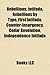 Rebellions: Intifada, Rebellions by Type, Reform the Armed Forces Movement, Resistance to the British Empire, American Revolutionary War