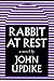 Rabbit At Rest