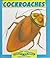 Cockroaches