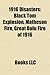 1916 Disasters: 1916 Fires, Centre Block, Black Tom Explosion, Matheson Fire, Great Oulu Fire of 1916