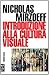 Introduzione alla cultura visuale