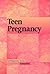 Teen Pregnancy (Contemporary Issues Companion)