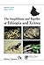 Amphibians and Reptiles of Ethiopia and Eritrea
