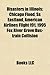 Disasters in Illinois: Chicago Flood, SS Eastland, American Airlines Flight 191, 1995 Fox River Grove Bus-Train Collision