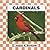 Cardinals (Birds)
