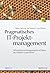 Pragmatisches It Projektmanagement Softwareentwicklungsprojekte Auf Basis Des Pm Bo K Guide Führen