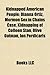 Kidnapped American People: American People Taken Hostage, Kidnapped American Children, Patty Hearst, Murder of Samantha Runnion, Nick Berg