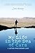 My Life in the Sea of Cars by James Murray