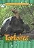 Tortoises