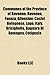 Communes of the Province of Ravenna: Ravenna, Ostrogothic Ravenna, Classe, Ancient Port of Ravenna, Exarchate of Ravenna, Faenza, Alfonsine