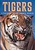 Tigers: A Portrait of the A...