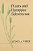 Plants and Harappan Subsistence by Steven A. Weber