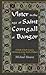 Ulster in the Age of Saint ...