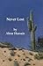 Never Lost by Abrar Hussain