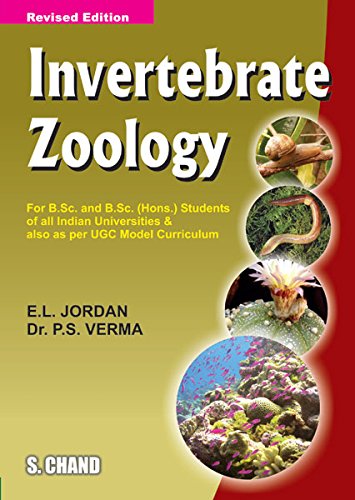 Invertebrate Zoology (Paperback)