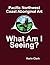 Pacific Northwest Coast Aboriginal Art: What Am I Seeing?