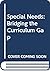 Special Needs: Bridging the...