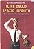 Il re dello spazio infinito : Storia dell'uomo che salvò la geometria
