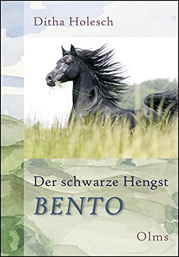 Der schwarze Hengst Bento (Hardcover)