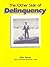 The Other Side of Delinquency (Juvenile Delinquency and Juvenile Justice Book 1)