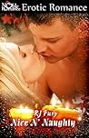 Nice 'n Naughty