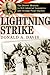 Lightning Strike by Donald A. Davis