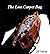 The Lost Carpet Bag