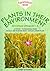Plants in Their Environment by Dawn Sanders