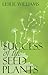 Success of the Seed Plants
