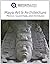 Maya Art and Architecture i...