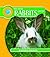 See How Rabbits Grow