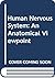 The human nervous system: A...