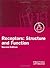 Receptors: Structure and Function (The ^APractical Approach Series)
