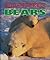 Bears (Endangered!)