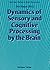 Dynamics of Sensory and Cog...
