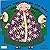 There Was an Old Lady Who Swallowed a Fly (Classic Books with Holes) (Classic Books with Holes Board Book)