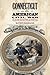 Connecticut in the American Civil War: Slavery, Sacrifice, and Survival (The Driftless Connecticut Series & Garnet Books)