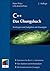 C++   Das Übungsbuch Testfragen Und Aufgaben Mit Lösungen ; [... by Peter Prinz